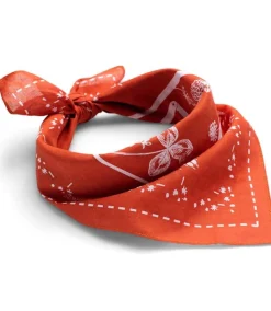 Vagabond Bandana